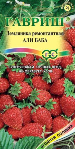 Земляника Али Баба  купить