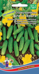 Огурец Брат с Севера  купить