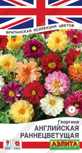 Георгина Английская раннецветущая, смесь  купить