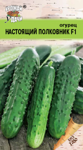 Огурец Настоящий полковник F1 купить