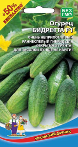 Огурец Бидретта F1 купить