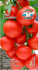 Томат Спрут F1 томатное дерево купить
