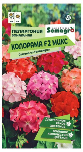 Пеларгония Зональная Колорама F2 уайт  купить