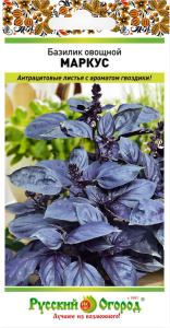 Базилик Маркус купить
