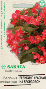 Бегония Викинг красная на бронзовом F1  купить