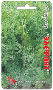 Укроп Элефант 1,0г купить