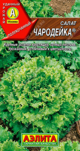 Салат Чародейка купить