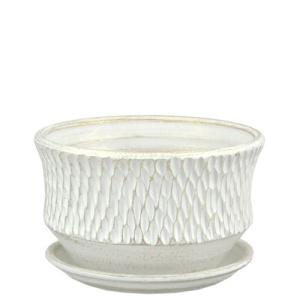 Горшок Астра павлин бел./жемч.16см купить