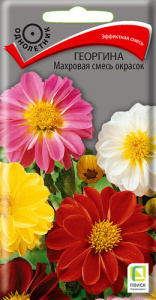 Георгина Махровая смесь окрасок купить