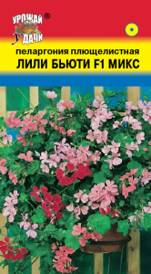 Пеларгония плющелистная Лили Бьюти F1 купить