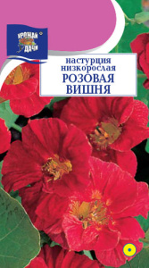 Настурция низкорослая Розовая Вишня кустовая  купить