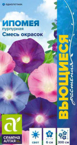 Ипомея Пурпурная смесь  Вьющиеся растения купить