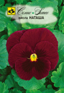 Виола Наташа  купить