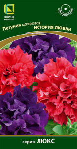 Петуния История любви махровая  купить