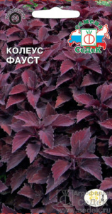 Колеус Фауст  купить