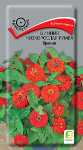 Цинния Румба Красная низкорослая купить