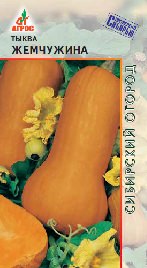 Тыква Жемчужина мускатная 7шт купить