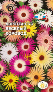 Доротеантус Весёлый хоровод, смесь  купить