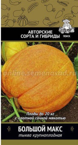 Тыква Большой Макс  купить