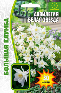Аквилегия Белая Звезда купить