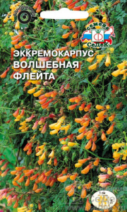 Эккремокарпус Волшебная флейта  купить