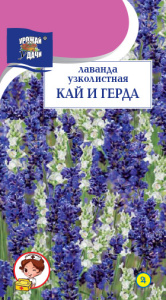 Лаванда Кай и Герда узколистная  купить