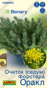 Очиток форстера Оракл (Седум)  купить