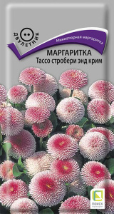 Маргаритка Тассо стробери энд крим купить