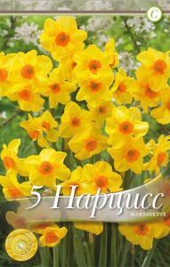 Нарцисс Мартинетте /5шт купить