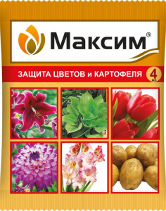 Максим 4мл пакет купить