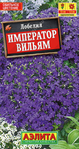 Лобелия Император Вильям  купить