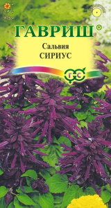 Сальвия Сириус карликовая  купить