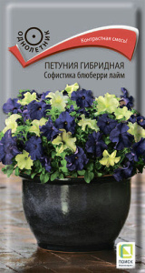 Петуния Софистика F1 Блюберри лайм купить