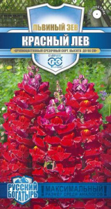 Львиный Зев Красный лев   купить