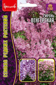 Сирень Венгерская купить