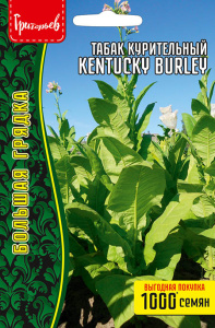 Табак курительный Kentucky Burley купить