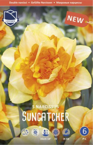 Нарцисс махровый "Suncatcher" (1х5шт) купить
