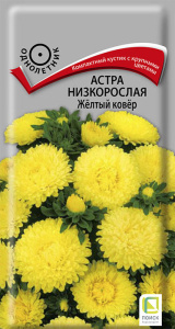 Астра Ковер Желтый низкорослая купить