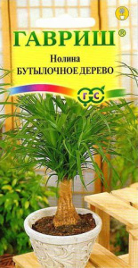Нолина Бутылочное Дерево  купить