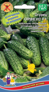Огурец Орфеус F1 купить