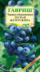 Черника Лесная жемчужина  купить
