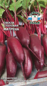 Свекла Матрёна  купить