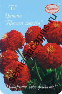 Цинния Красная шапочка/1шт купить