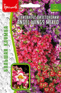 Схизантус Angel Wings Mixed визетонский купить