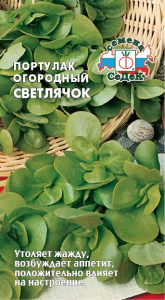 Портулак Светлячок купить