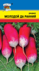Редис Молодой -да-Ранний  купить