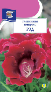 Глоксиния Импресс Рэд  купить