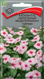 Катарантус ампельный Медитерранеан Строберри купить