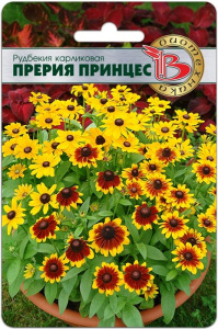 Рудбекия карликовая Прерия Принцес купить