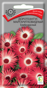 Доротеантус маргаритковидный Бэмби красный  купить